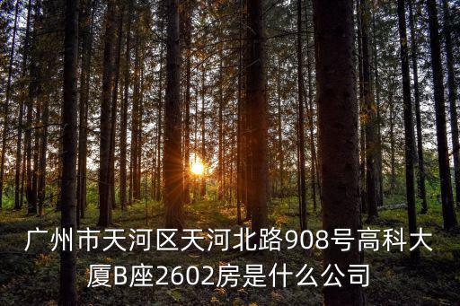 廣州市天河區天河北路908號高科大廈B座2602房是什么公司