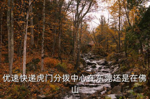優(yōu)速快遞虎門分撥中心在東莞還是在佛山