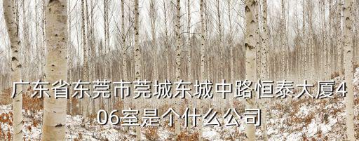 廣東省東莞市莞城東城中路恒泰大廈406室是個(gè)什么公司