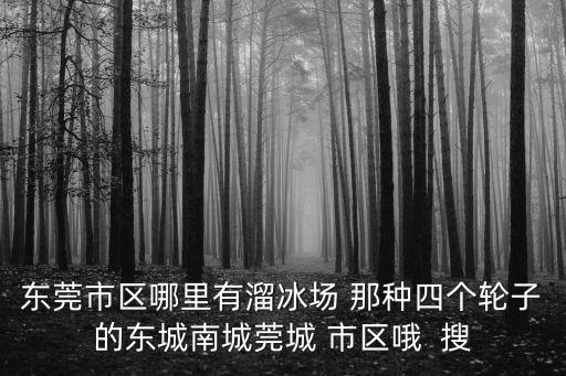東莞市區哪里有溜冰場 那種四個輪子的東城南城莞城 市區哦  搜
