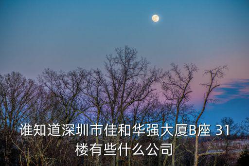 誰知道深圳市佳和華強大廈B座 31樓有些什么公司