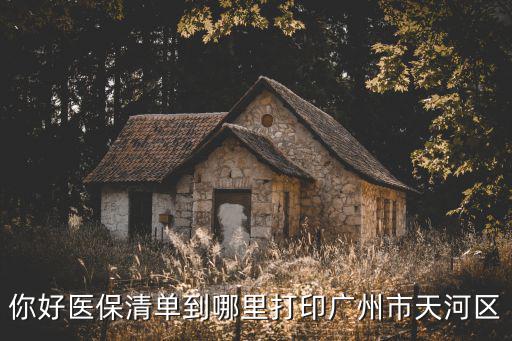 你好醫(yī)保清單到哪里打印廣州市天河區(qū)