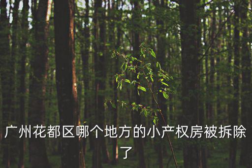 廣州花都區哪個地方的小產權房被拆除了