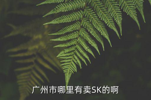 廣州市哪里有賣SK的啊