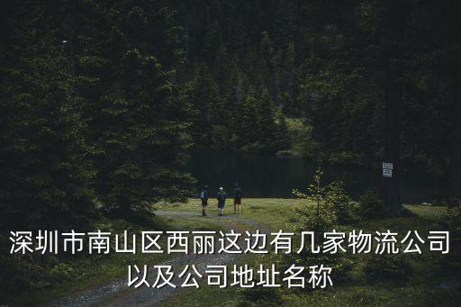 深圳市南山區(qū)西麗這邊有幾家物流公司以及公司地址名稱