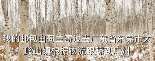 東莞市至永進出口有限公司，我的郵包由荷蘭寄過去廣東省東莞市大嶺山鎮根據物流跟蹤到廣州