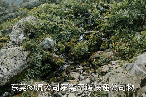 東莞物流公司東莞空運快遞公司物