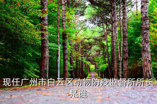 現任廣州市白云區動物防疫監督所所長是誰