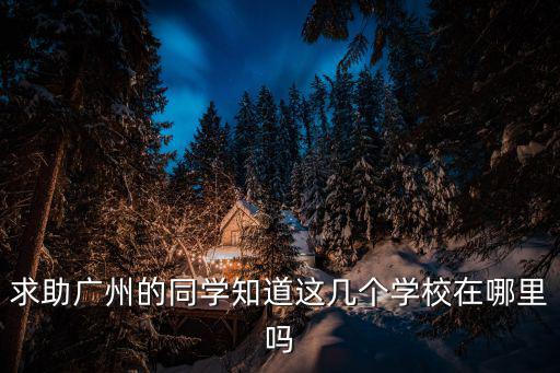 廣州市蘿崗區洋城學校，廣州市海珠區南華專業培訓學校怎樣真的有這個學校嗎教學怎樣