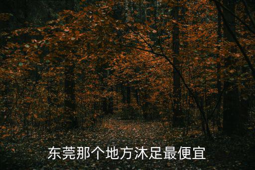 東莞那個地方沐足最便宜