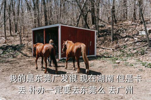 我的是東莞廣發銀 現在湖南 但是卡丟 補辦一定要去東莞么 去廣州