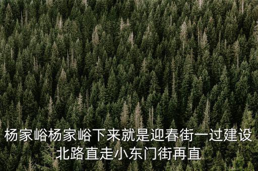 楊家峪楊家峪下來就是迎春街一過建設北路直走小東門街再直