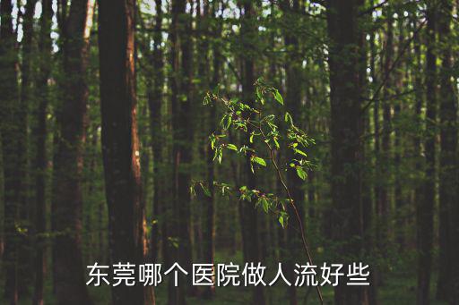 東莞哪個醫院做人流好些