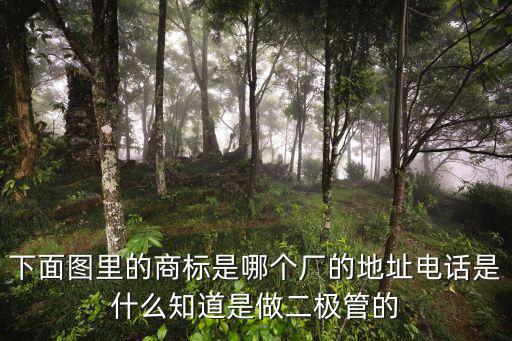 下面圖里的商標是哪個廠的地址電話是什么知道是做二極管的