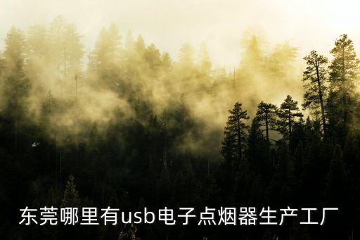 東莞哪里有usb電子點(diǎn)煙器生產(chǎn)工廠