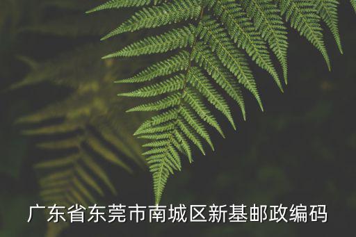 廣東省東莞市南城區新基郵政編碼
