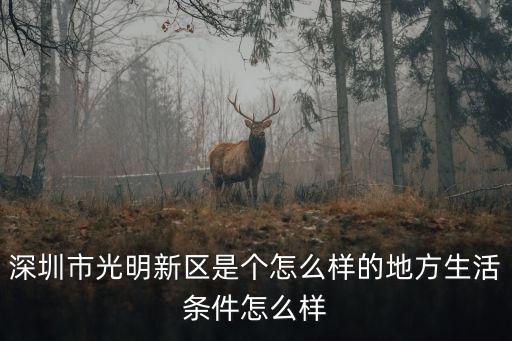 深圳光明新區(qū)環(huán)境，深圳市光明新區(qū)是個怎么樣的地方生活條件怎么樣
