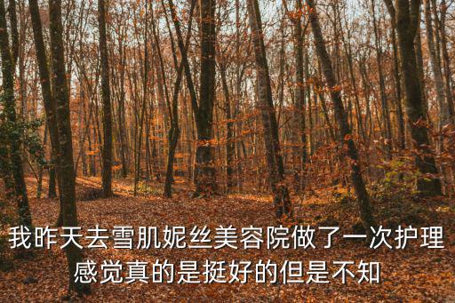 我昨天去雪肌妮絲美容院做了一次護理感覺真的是挺好的但是不知