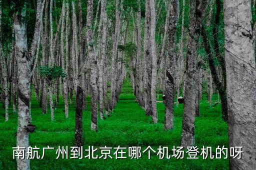 南航廣州到北京在哪個機場登機的呀