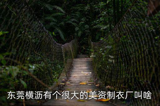 東莞橫瀝有個很大的美資制衣廠叫啥