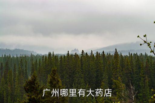 廣州哪里有大藥店