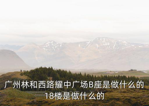 廣州林和西路耀中廣場B座是做什么的18樓是做什么的