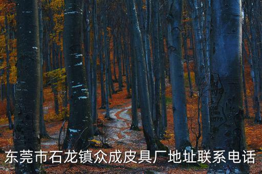 東莞石龍皮帶批發市場，東莞皮衣批發市場在哪里