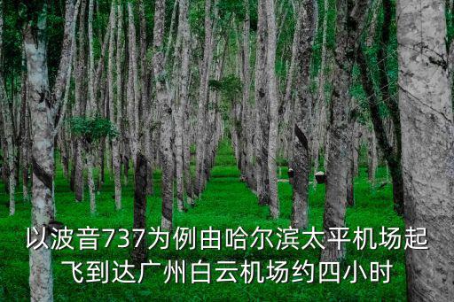 廣州白云機(jī)場(chǎng)飛機(jī)視頻集錦，以波音737為例由哈爾濱太平機(jī)場(chǎng)起飛到達(dá)廣州白云機(jī)場(chǎng)約四小時(shí)