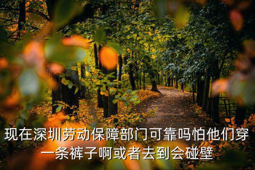 現(xiàn)在深圳勞動保障部門可靠嗎怕他們穿一條褲子啊或者去到會碰壁