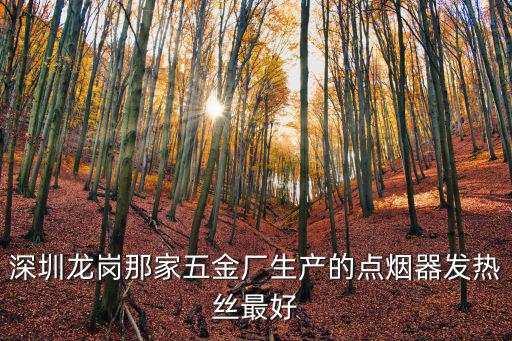 深圳龍崗那家五金廠生產(chǎn)的點(diǎn)煙器發(fā)熱絲最好