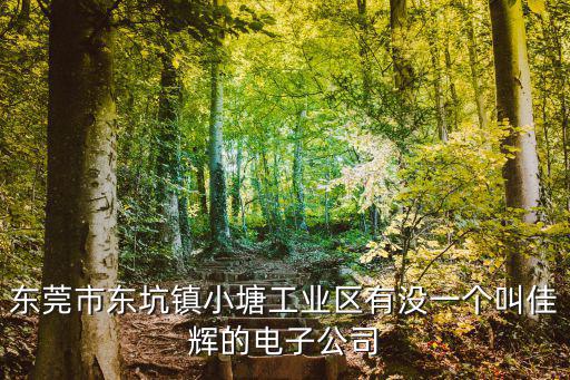 東莞市東坑鎮小塘工業區有沒一個叫佳輝的電子公司
