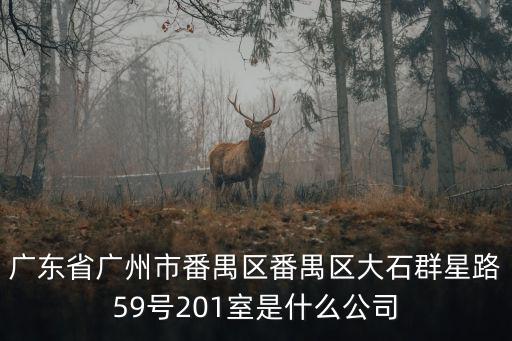 廣東省廣州市番禺區番禺區大石群星路59號201室是什么公司