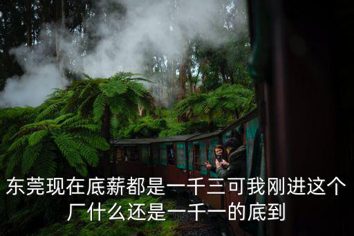 東莞千廚食品，東莞現在底薪都是一千三可我剛進這個廠什么還是一千一的底到