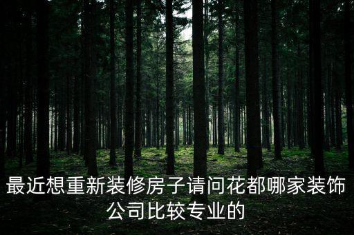 最近想重新裝修房子請問花都哪家裝飾公司比較專業(yè)的
