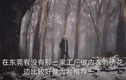 在東莞有沒有那一家工廠做內衣刺繡花邊比較好誰為我推薦一下