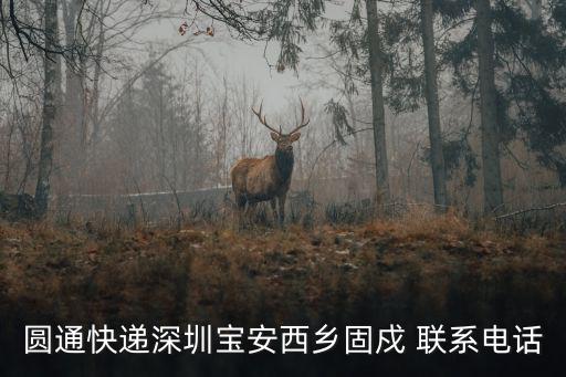圓通快遞深圳寶安西鄉固戍 聯系電話
