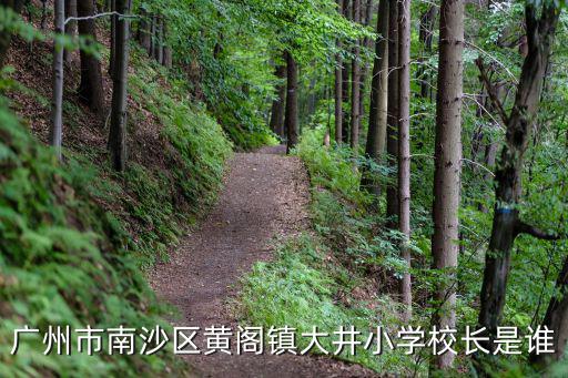 廣州市南沙區黃閣鎮大井小學校長是誰