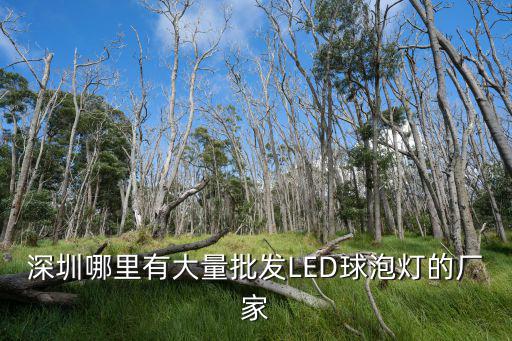 深圳哪里有大量批發(fā)LED球泡燈的廠家