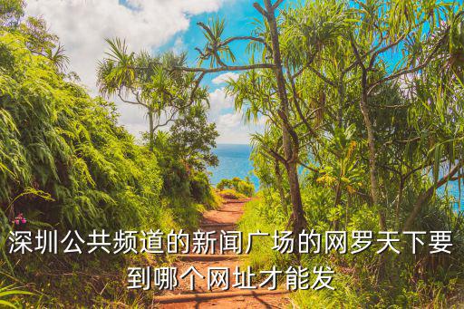 深圳公共頻道的新聞廣場的網羅天下要到哪個網址才能發
