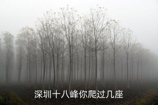 深圳十八峰你爬過幾座