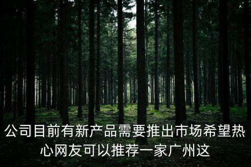 公司目前有新產(chǎn)品需要推出市場(chǎng)希望熱心網(wǎng)友可以推薦一家廣州這