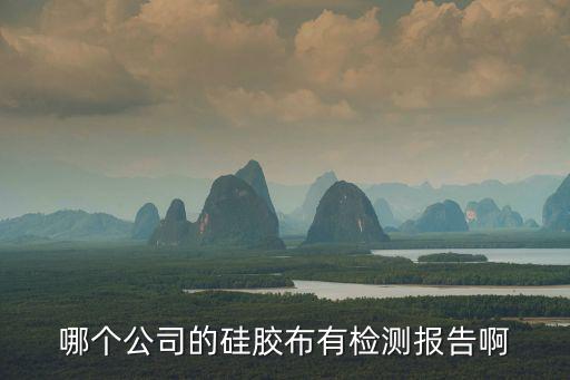 廣州市連承復合材料有限公司，哪個公司的硅膠布有檢測報告啊