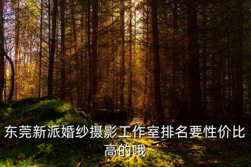 東莞新派婚紗攝影工作室排名要性價(jià)比高的哦