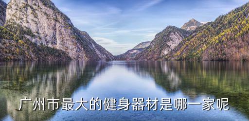 廣州市最大的健身器材是哪一家呢