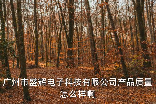 廣州市盛輝電子科技有限公司產品質量怎么樣啊