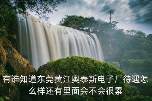 有誰知道東莞黃江奧泰斯電子廠待遇怎么樣還有里面會不會很累