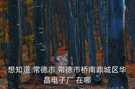 想知道 常德市 常德市橋南鼎城區華晶電子廠 在哪