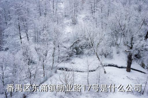 番禺區東涌鎮勵業路17號是什么公司