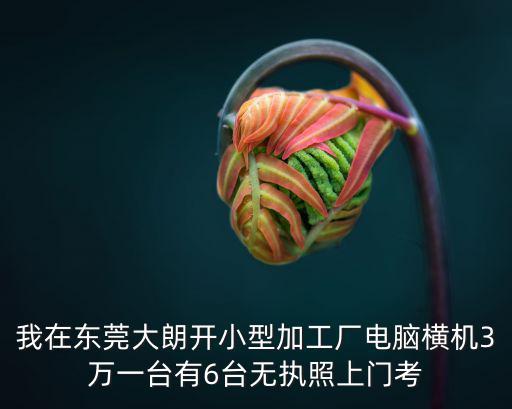 我在東莞大朗開小型加工廠電腦橫機3萬一臺有6臺無執照上門考
