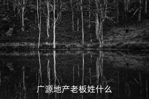 廣源地產(chǎn)老板姓什么